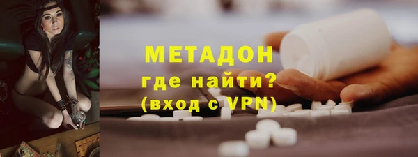стаф Алзамай